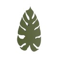 4668_MONSTERA_GREEN_L1.jpg