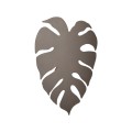 5719_MONSTERA_BROWN_SMAL_L.jpg