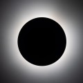 6454_LUNA_BROWN_B_1.jpg