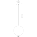 ALMIROS_8448.png