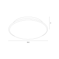 GIN_3224.png
