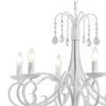 DIADEMA_2561_03.jpg