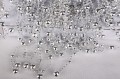 5906714884323_A1711.jpg