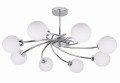 5903034803348.jpg