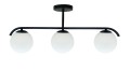5903034835417.jpg