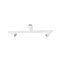 10796_AMIS_WHITE_P.jpg