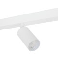 10797_AMIS_WHITE_D2.jpg