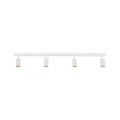 10797_AMIS_WHITE_W.jpg