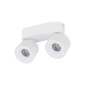 18171_SPARK_DUO_WHITE_CCT_20W_A.jpg