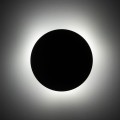 10957_LUNA_GREEN_B1.jpg