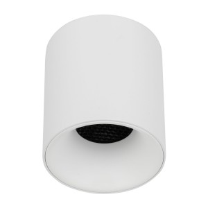 BLAZE WHITE 12W