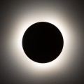 10624_LUNA_SABIA_B.jpg