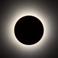 10625_LUNA_SABIA_B.jpg