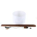16003_GRAND_WHITE_ORZECH_X.jpg