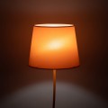 6644_NICOLA_ORANGE_B1.jpg