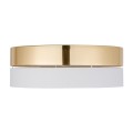 4772_HILTON_GOLD_W.jpg