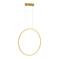 ml8855$f.png