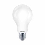 Żarówka LED E27 17,5W 4000K A67