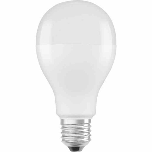 ekzos251$a.jpg