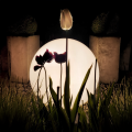 eko0458$c.png