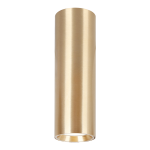 GENESIS SPOT GOLD 1xGU10 20cm