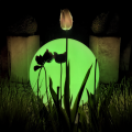 eko1366$d.png