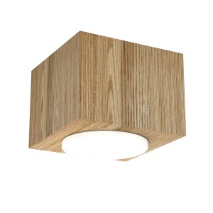 Lampa spot DOWNLIGHT WOOD 9732